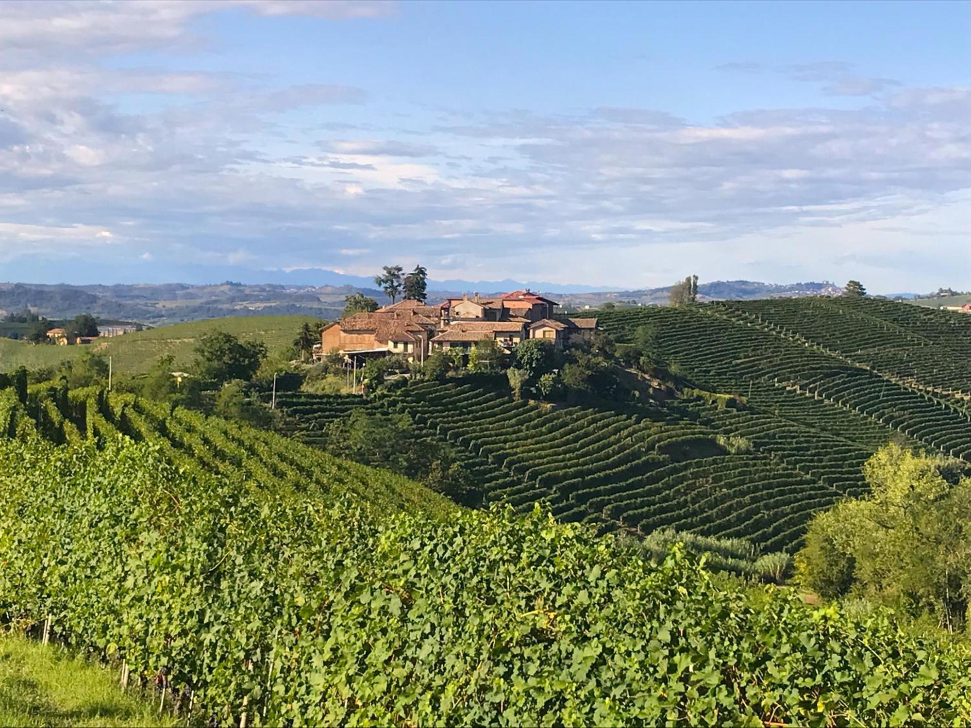 B&B Acaso Serralunga d'Alba Bagian luar foto